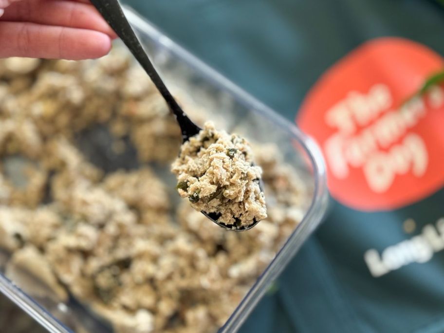 Hand holding a spoon with a scoop of the Farmer's Dog dog food