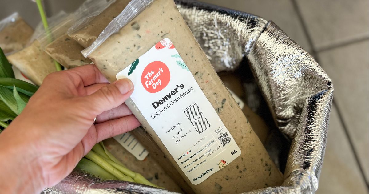 This is Our #1 Pick for Personalized, Fresh Dog Food (+ Get 60% Off!)