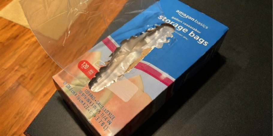 Amazon Basics Gallon Storage Bags 120-Count Just $5.98 Shipped + More