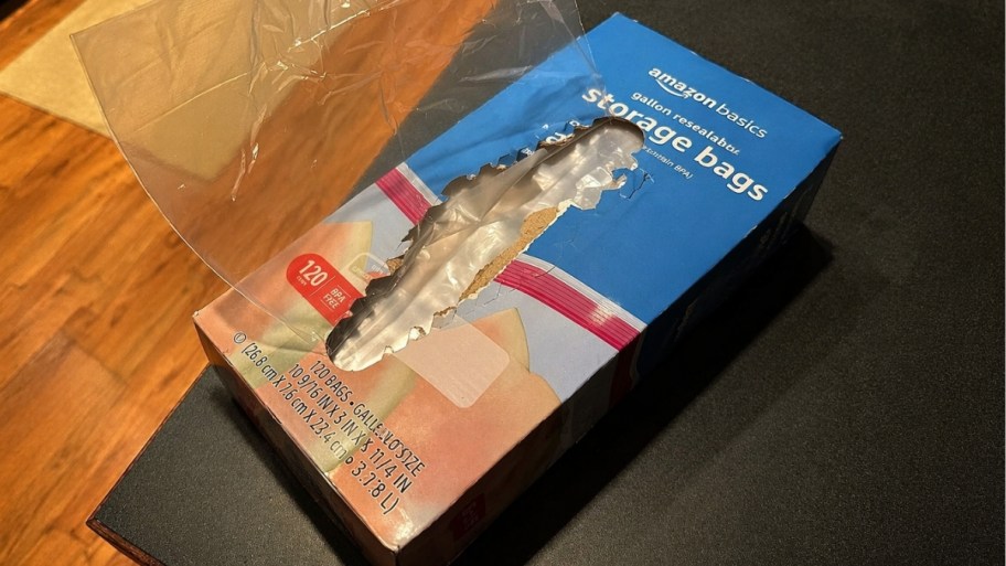 amazon basics gallon freezer bags