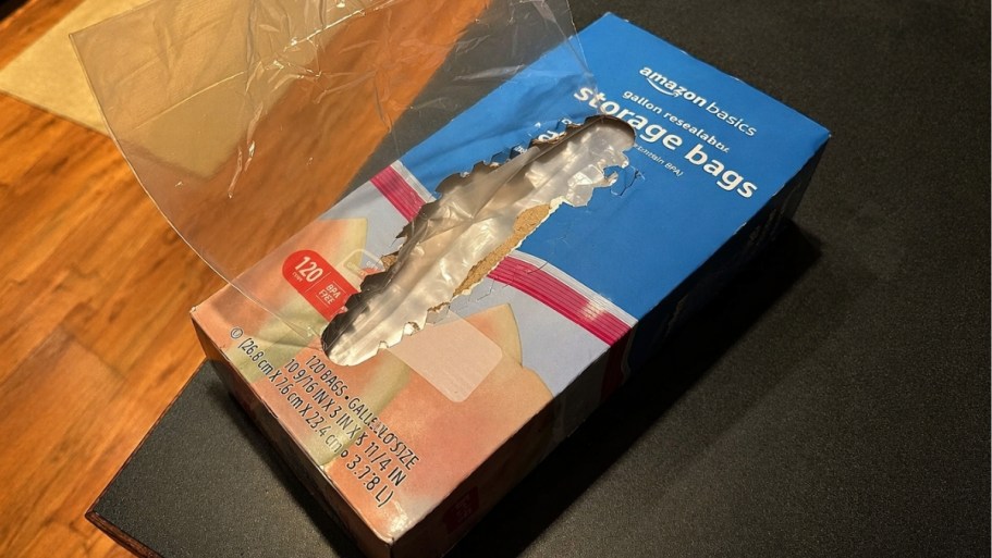 Amazon Basics Gallon Storage Bags 120-Count Just $5.98 Shipped + More