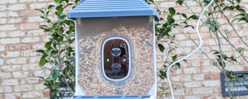 blue and white bird feeder with camera