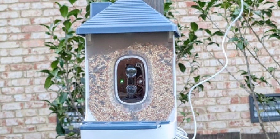 Smart Bird Feeder w/ Camera Only $29.99 Shipped on Amazon (Reg. $60)