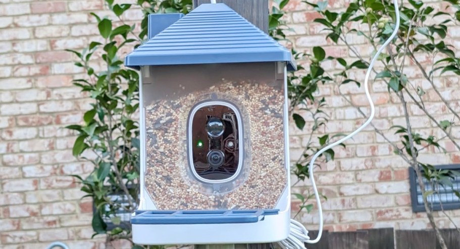 Smart Bird Feeder w/ Camera Only $21.99 Shipped on Amazon (Reg. $60)