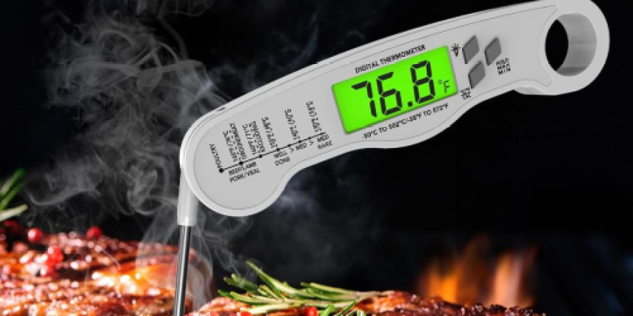 Digital Meat Thermometer Only $4 on Amazon (Reg. $10)