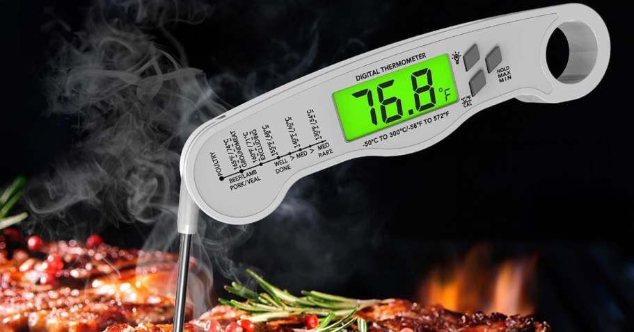 Digital Meat Thermometer Only $4 on Amazon (Reg. $10)