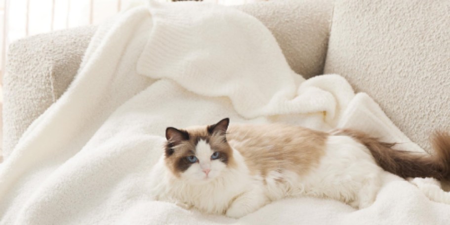Bedsure Super Soft Knit Blanket Just $8.99 Shipped (Today Only!)