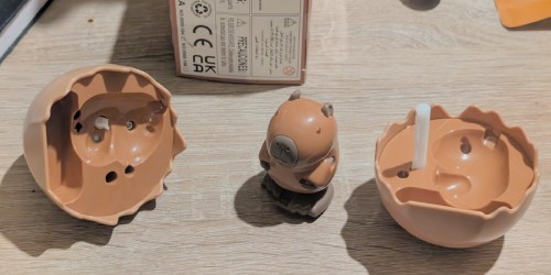 Wind-Up Egg Toys from $8.99 on Amazon | Decorate, Hatch, Repeat!