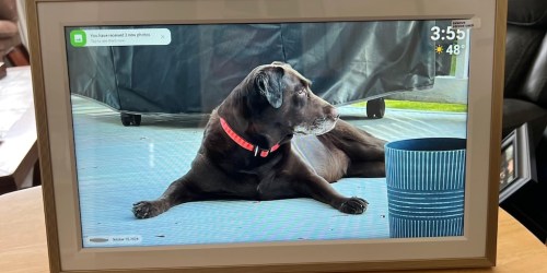 Digital Picture Frame Only $35.99 Shipped for Amazon Prime Members (Reg. $90)