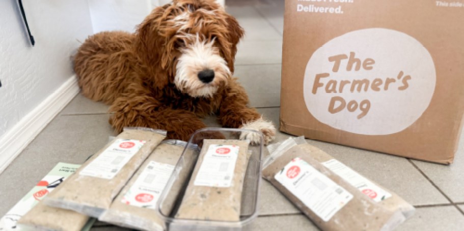 Why The Farmer’s Dog Was My 1st Choice for My New Pup (+ Score 60% Off & FREE Shipping!)