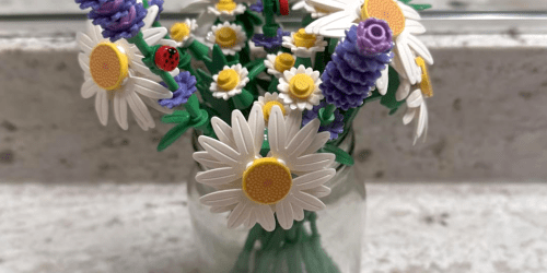LEGO Botanicals Daisies Set Only $14.97 + Get Amazon Credit (Great for Easter Baskets)