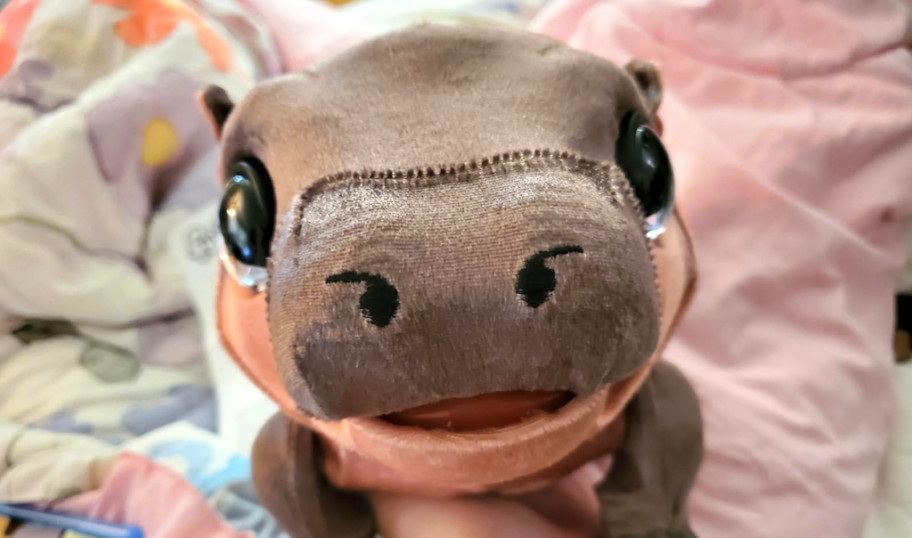 FurReal Sally the Silly Hippo face