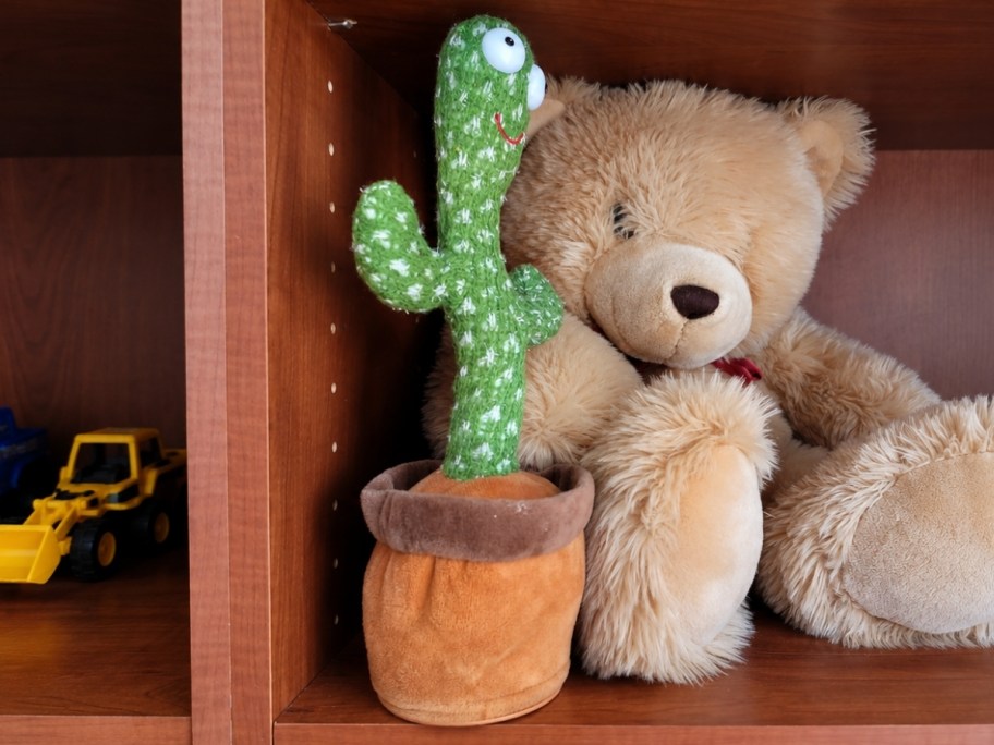 cactus on a shelf with a teddy bear