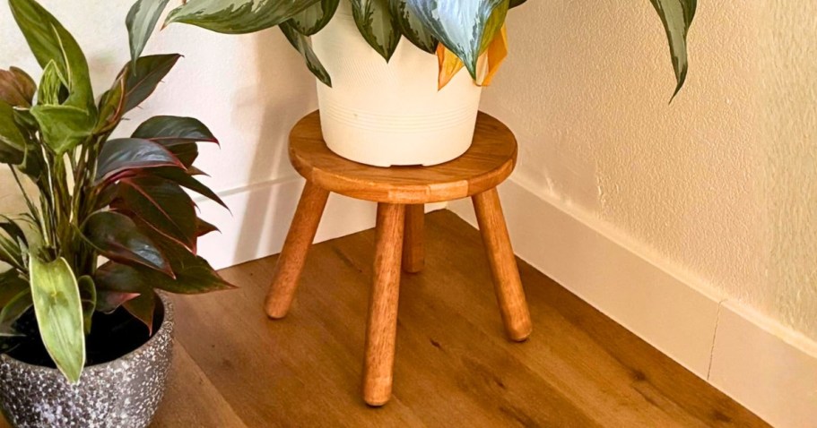 Solid Wood Step Stool Just $13.49 on Amazon (Reg. $27)