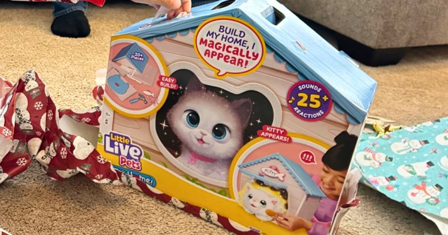 OVER $217 Worth of Toys Just $36.64 Shipped for Amazon Prime Members