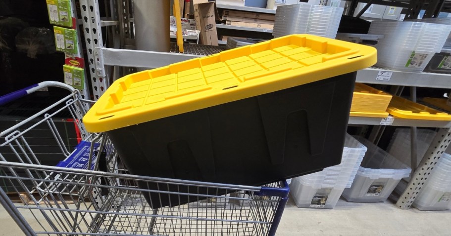 Grab Our Favorite Lowe&rsquo;s 27-Gallon Storage Totes for Just $7.98 (Reg. $10)