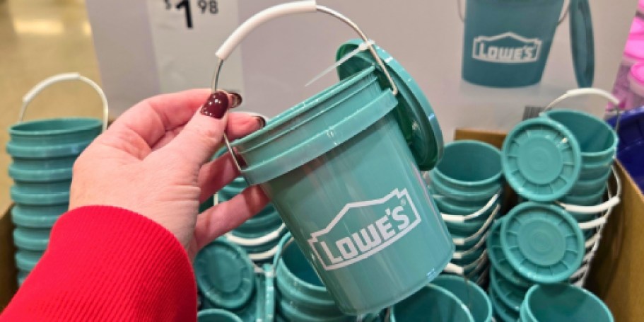 The Viral Lowe’s Mini Buckets Are Back for Spring in TEAL (Selling Out Fast!)