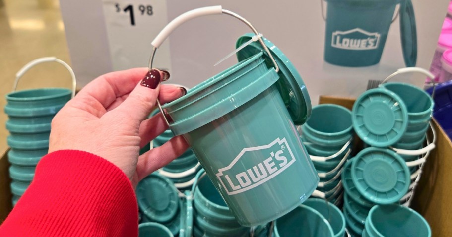The Viral Lowe’s Mini Buckets Are Back for Spring in TEAL (Selling Out Fast!)