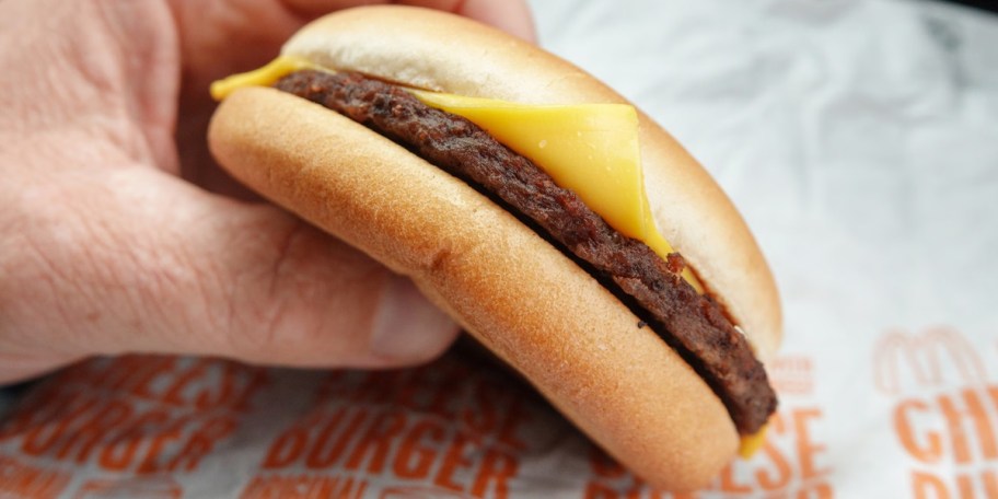 hand holding mcdonalds cheeseburger