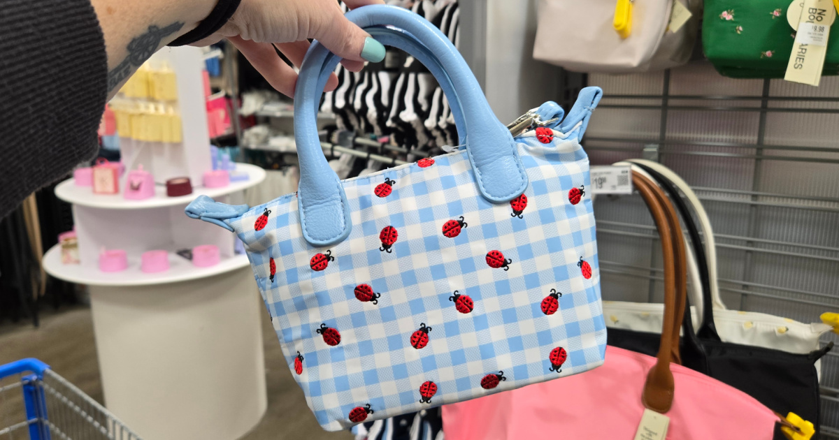 We Spotted Adorable No Boundaries Mini Tote Bags at Walmart!