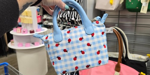 We Spotted Adorable No Boundaries Mini Tote Bags at Walmart!