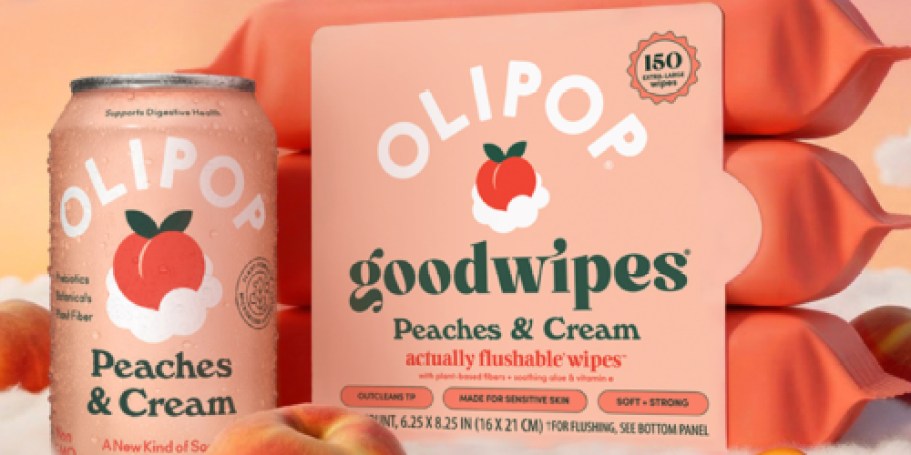 BOGO goodwipes Flushable Wipes 3-Packs at Walmart