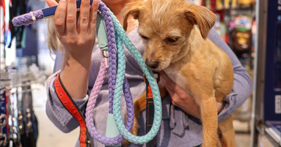 40% Off Petco Dog Leash, Collar, or Harness (Just Bring in Old Ones to Recycle!)
