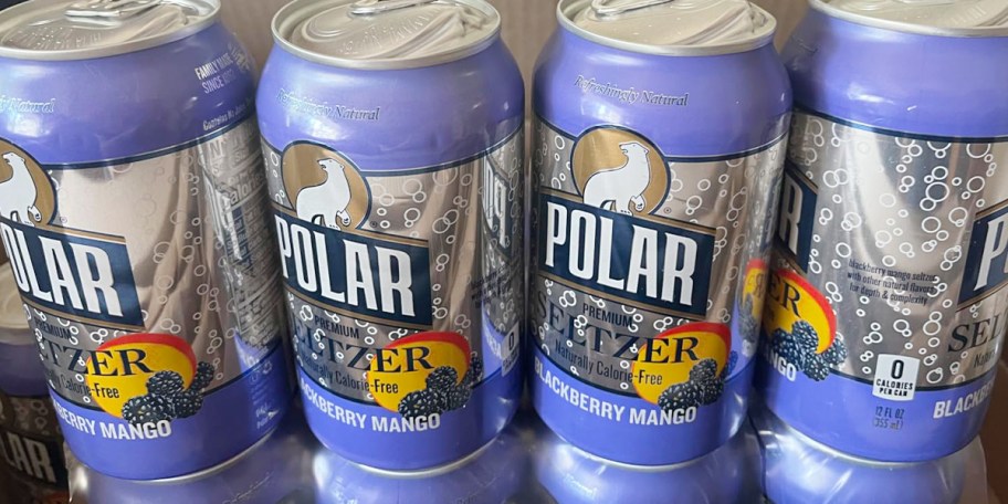 4 polar blackberry & mango cans 