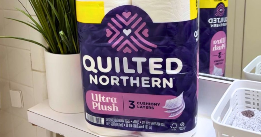 a pack of Quilted Northern Toilet Paper on a bathroom sink