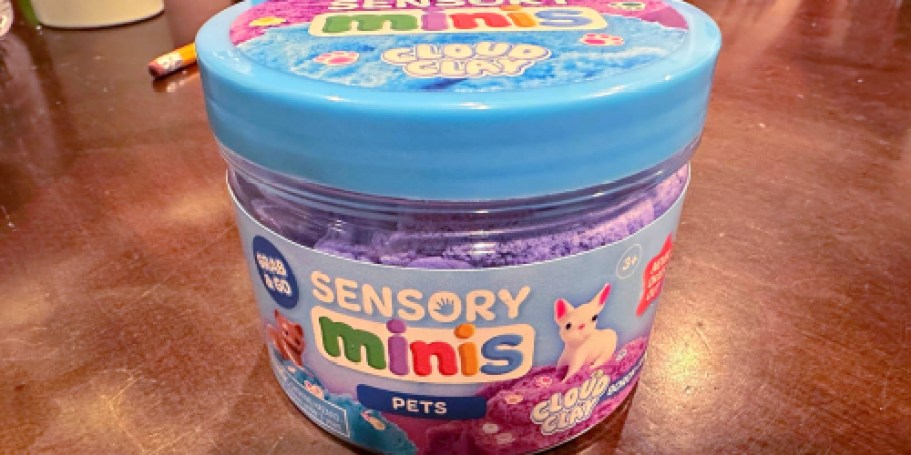 Sensory Minis Only $3.49 on Michaels.com (Great Easter Basket Filler)