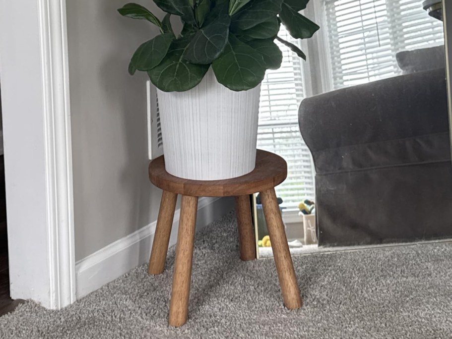 5 Amazon Top Sellers from Yesterday You Can Still Grab