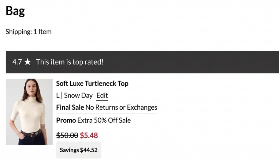 screenshot of banana republic shopping cart with discount showing
