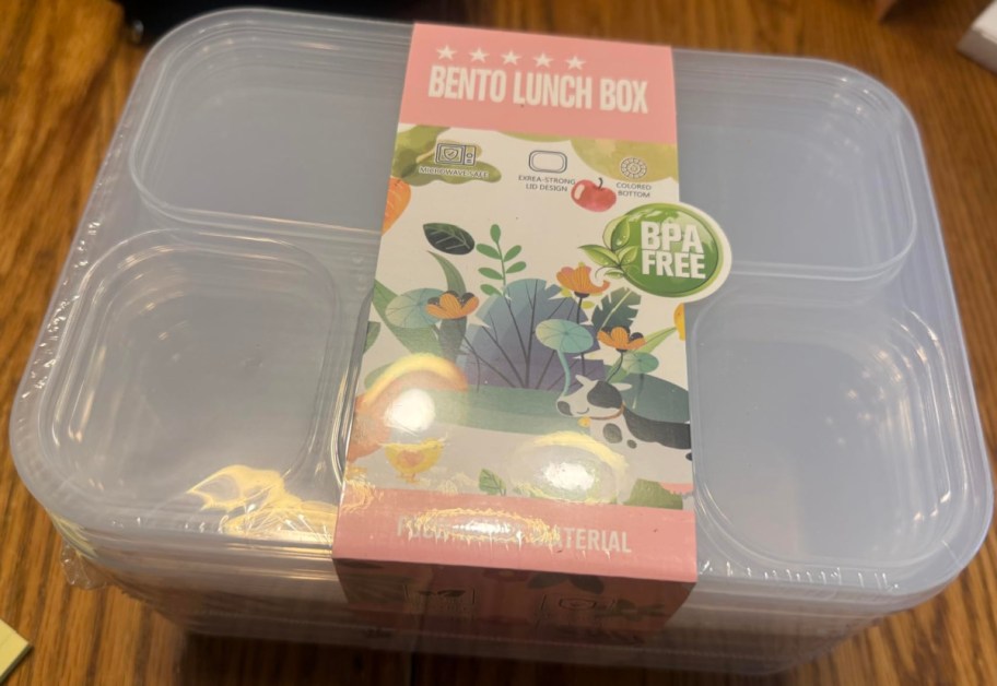 Package of Bento Boxes
