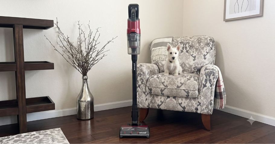 Bissell Cordless Vacuum from $189.99 Shipped on Target.com (Reg. $360)
