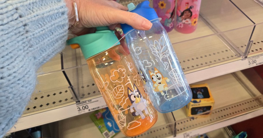 Bluey Water Bottles