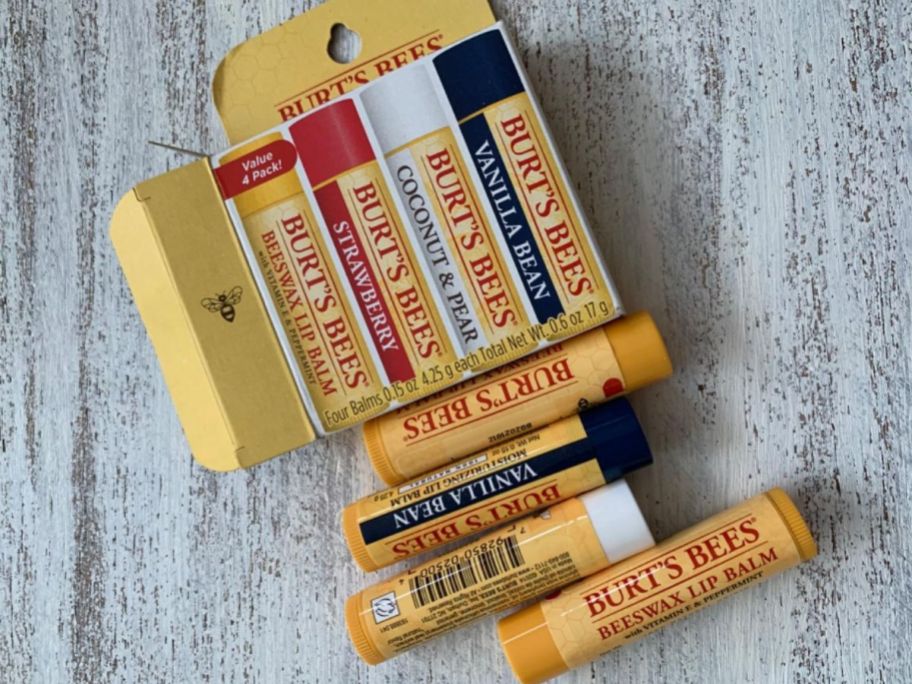 Burt's Bees Best of Burt's Flavors Lip Balm 4-Pack