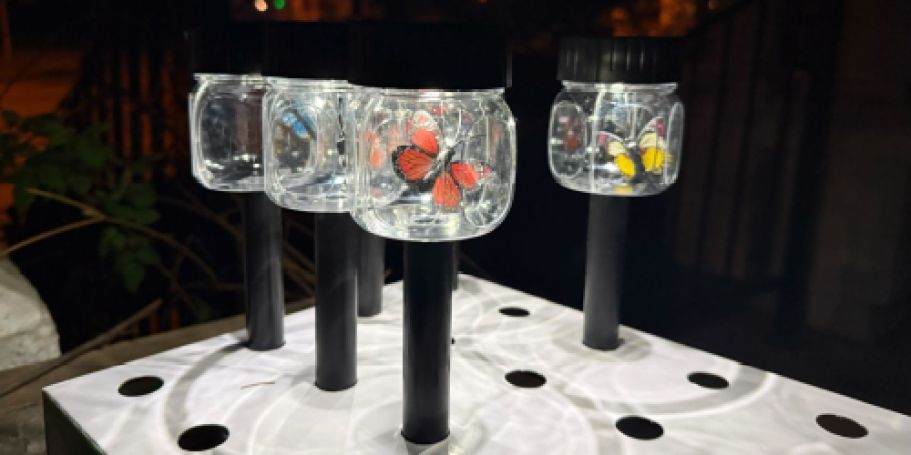 These Dollar Tree Solar Butterfly Lights Are Too Cute to Pass Up!