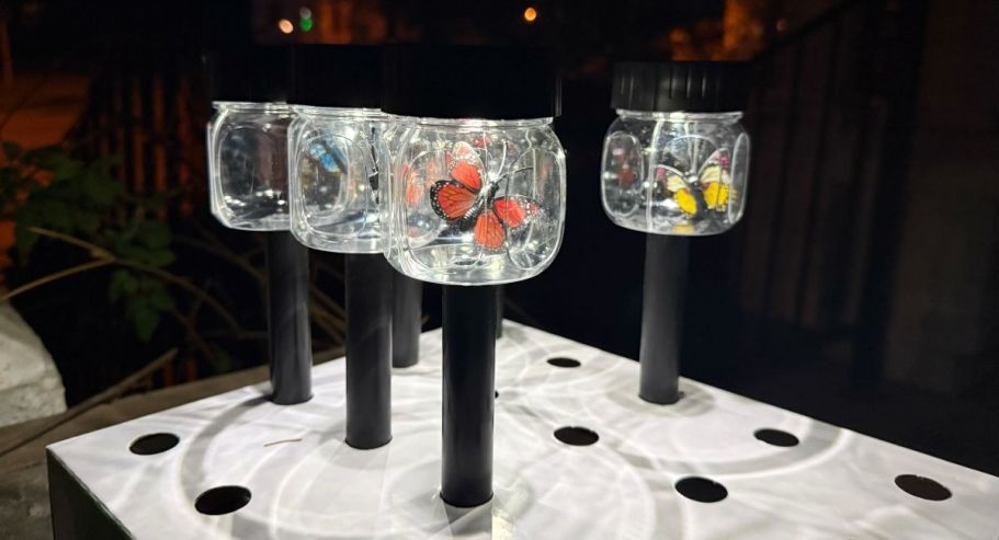 These Dollar Tree Solar Butterfly Lights Are Too Cute to Pass Up!