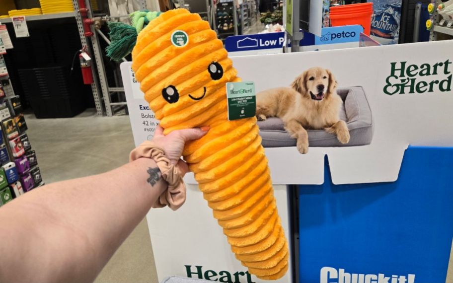 Hand holding dog carrot toy in front of a stand