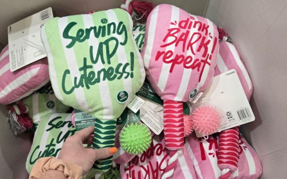 Hand holding two dig paddles in different colors