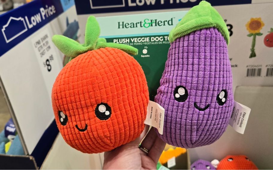 hand holding Dog veggies toy