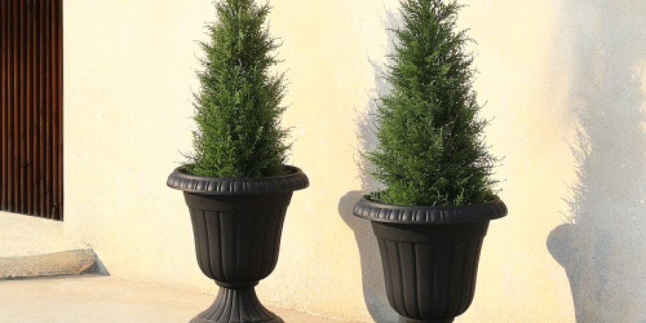 TWO Artificial Cedar Trees Just $39.99 Shipped on Walmart.com (Instant Curb Appeal)
