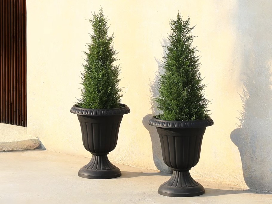 TWO Artificial Cedar Trees Just $39.99 Shipped on Walmart.com (Instant Curb Appeal)