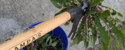 Grampas weeder with weed