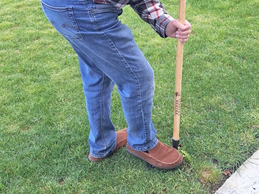man pulling up weed from grass using grandpa's weeder tool