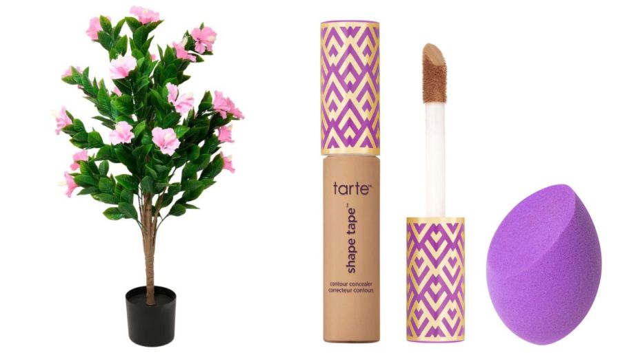 HSN plant and concealer