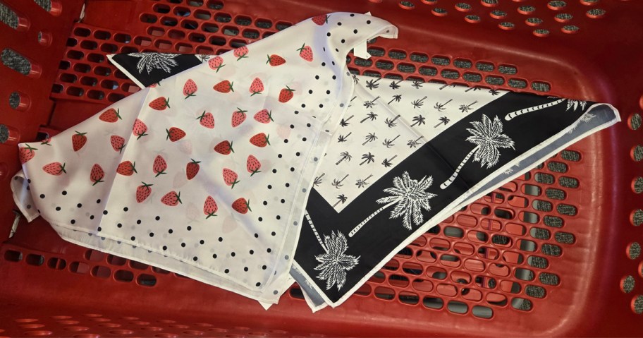 Purse Handkerchiefs