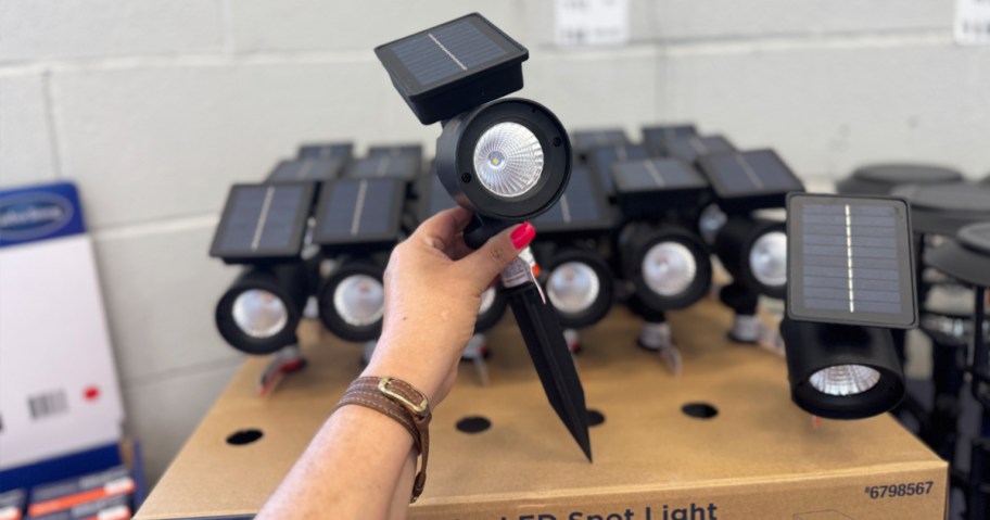 hand holding up a black solar spot light in store