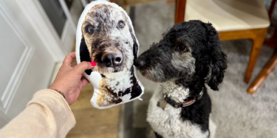 Custom Pet Pillows Just $20 Shipped (Fun Gift Idea For Dog Moms!)