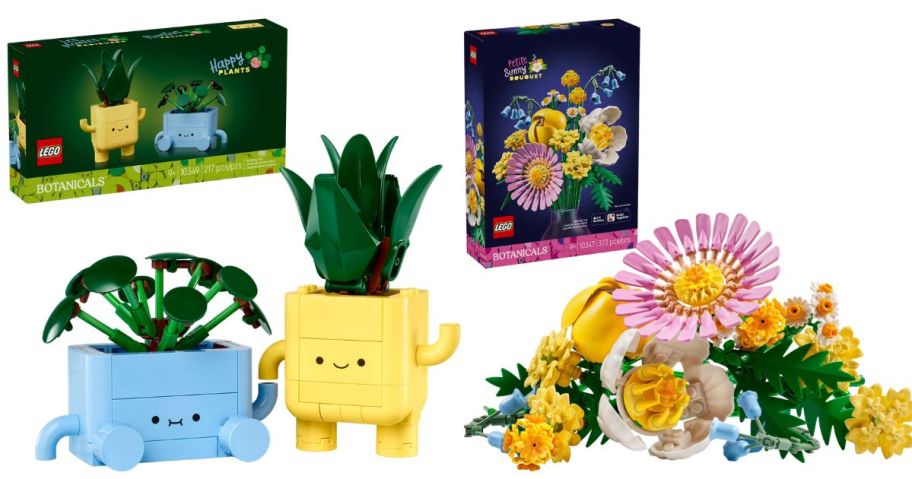 LEGO Botanicals Happy Plants and Petite Sunny Bouquet